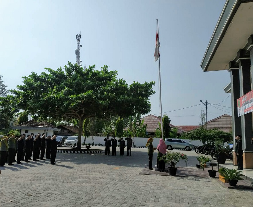 Upc.2