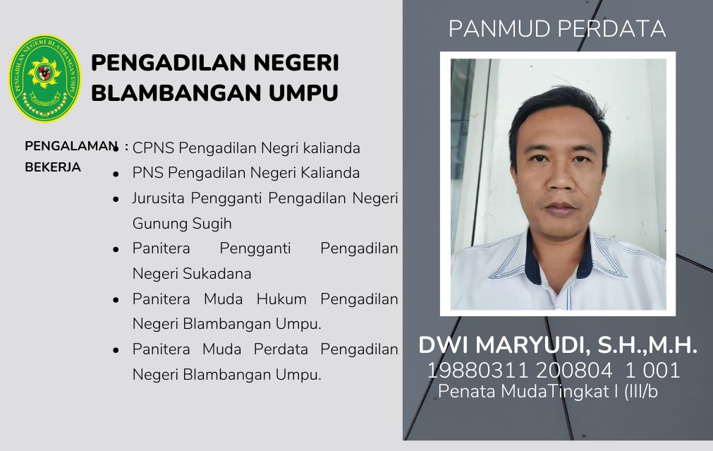 dwi perdata